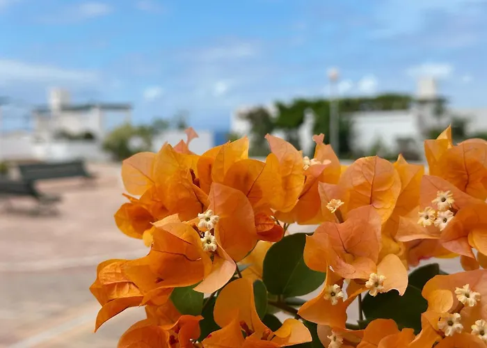 New Two Bedroom Apartment, Big Terrace & Sea View, *