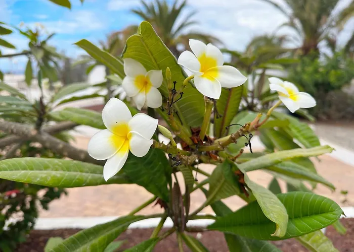 Апартаменти New Two Bedroom Apartment, Big Terrace & Sea View, *