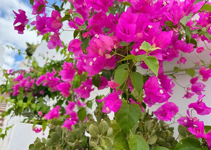 New Two Bedroom Apartment, Big Terrace & Sea View, Appartement